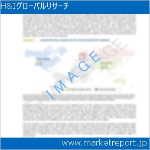市場と産業調査レポートのイメージ